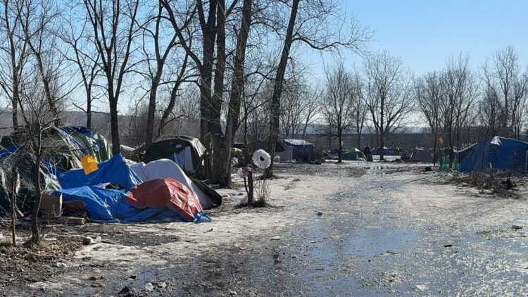 Wagons to Bring Resources to the Homeless image