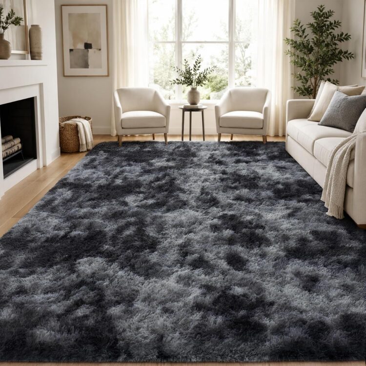 Living room rug image